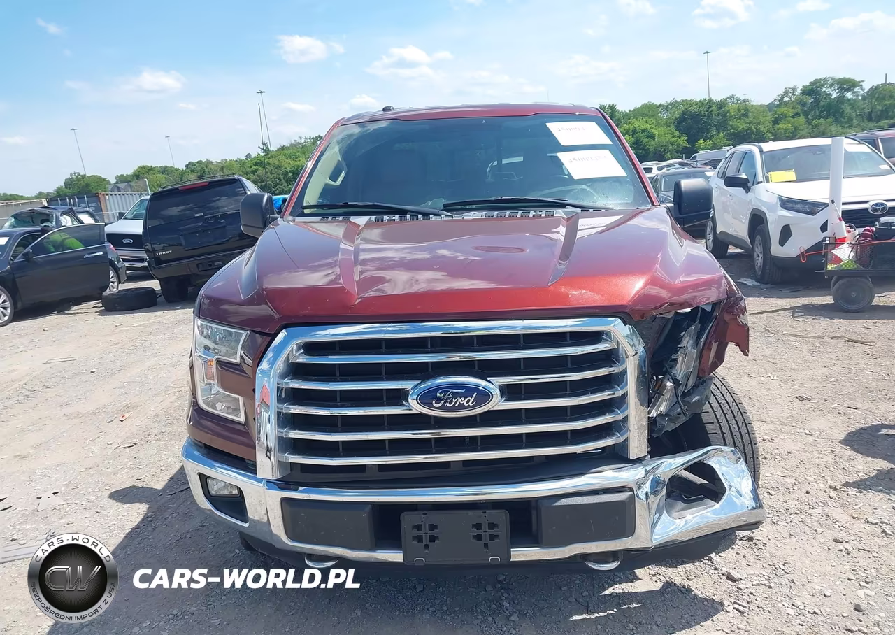 2016 Ford F-150 Xlt VIN:1FTEW1EP5GKE69681 - 12