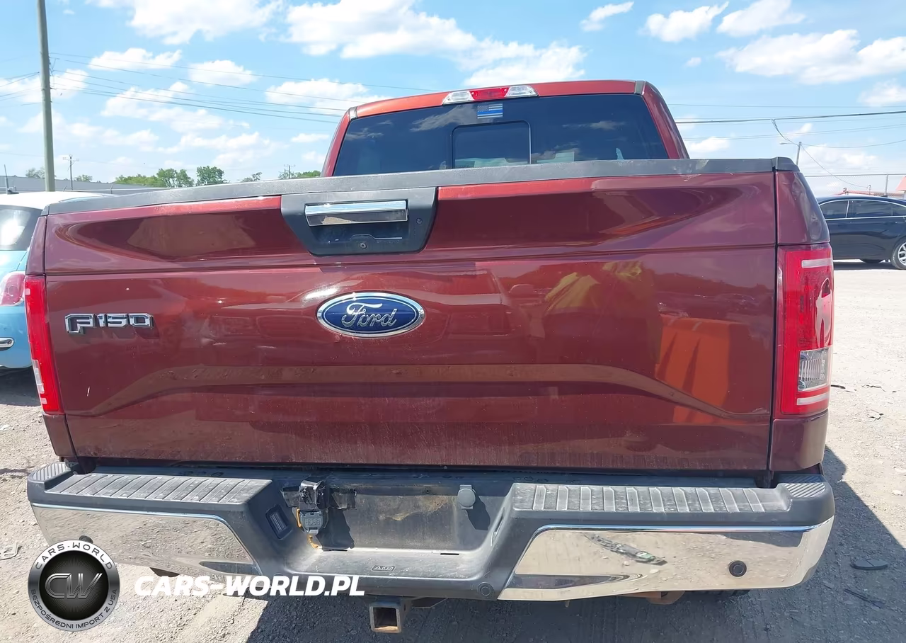 2016 Ford F-150 Xlt VIN:1FTEW1EP5GKE69681 - 16