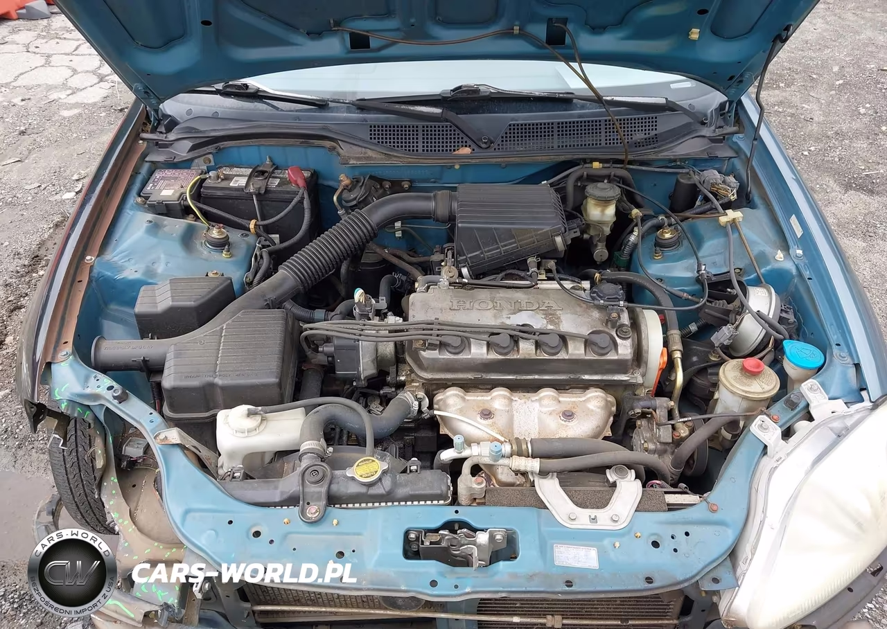 1998 Honda Civic Lx VIN:2HGEJ6677WH561523 - 10