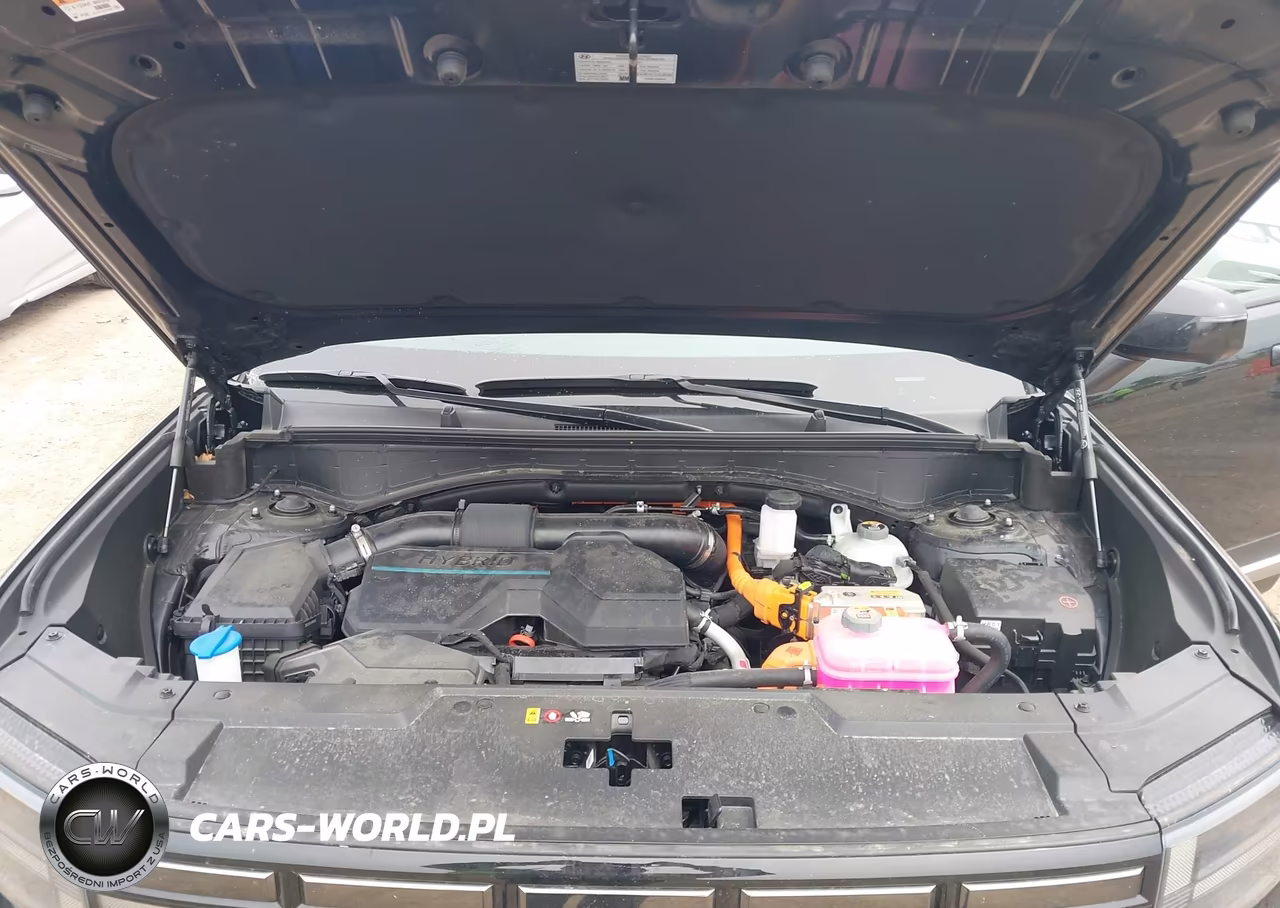 2025 Hyundai Santa Fe Hybrid Limited VIN:5NMP3DG12SH048565 - 10