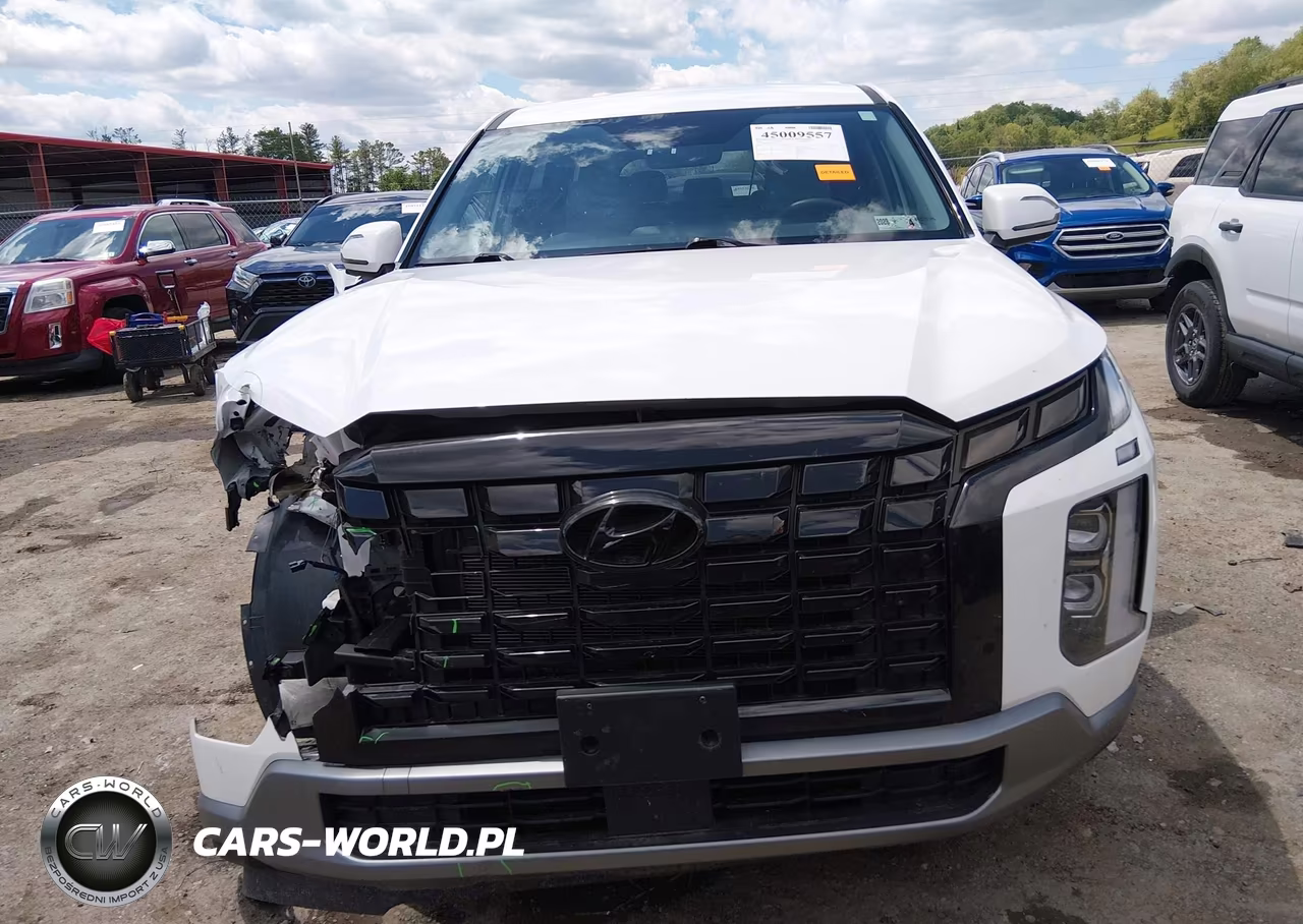 2023 Hyundai Palisade Se VIN:KM8R1DGE3PU512217 - 13
