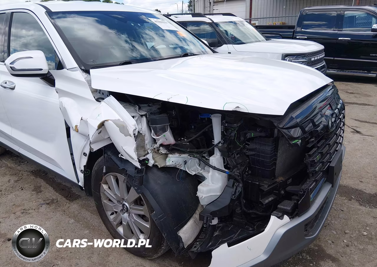 2023 Hyundai Palisade Se VIN:KM8R1DGE3PU512217 - 6