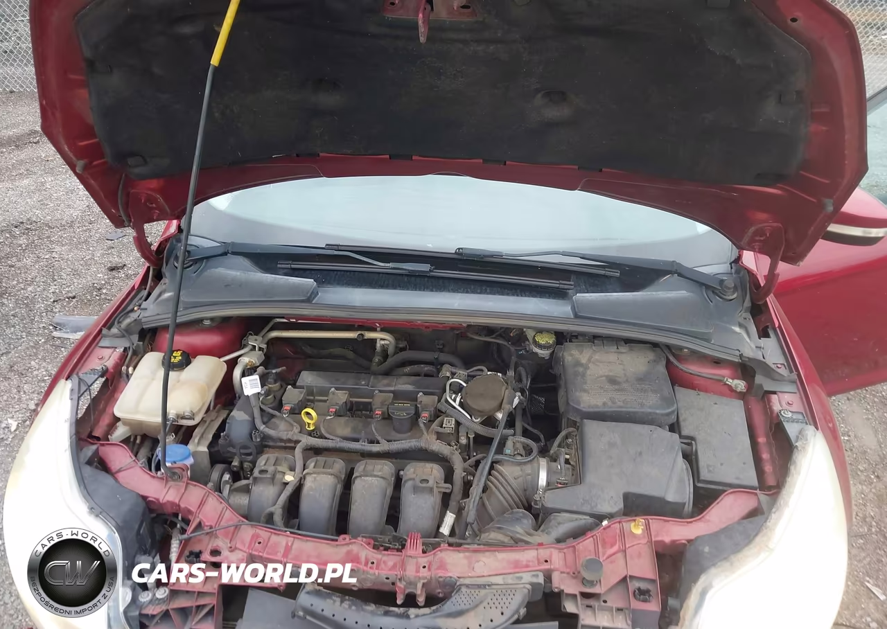 2014 Ford Focus Se VIN:1FADP3K22EL302334 - 10