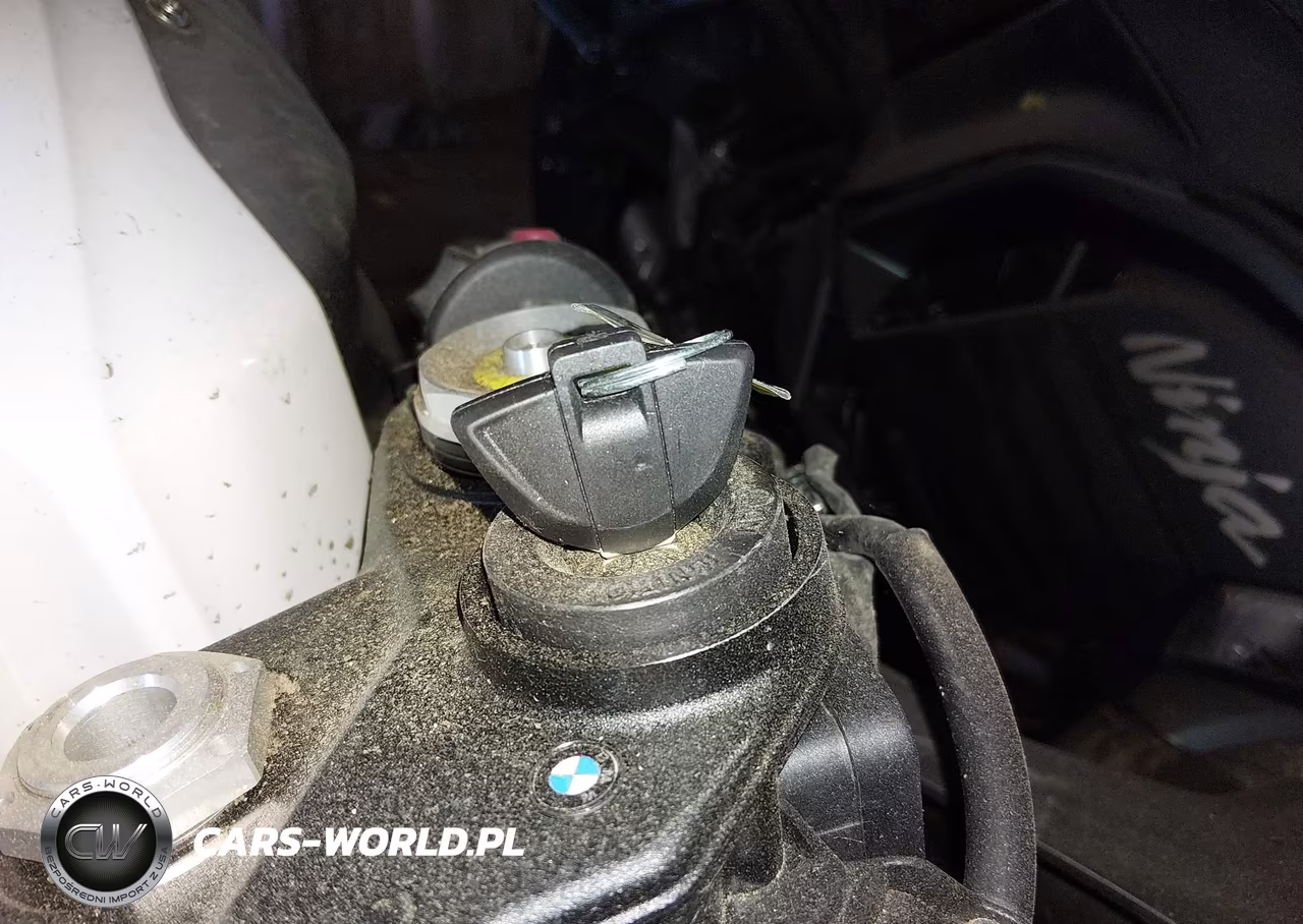 2024 BMW S 1000 Rr VIN:WB10E6308R6J48310 - 11