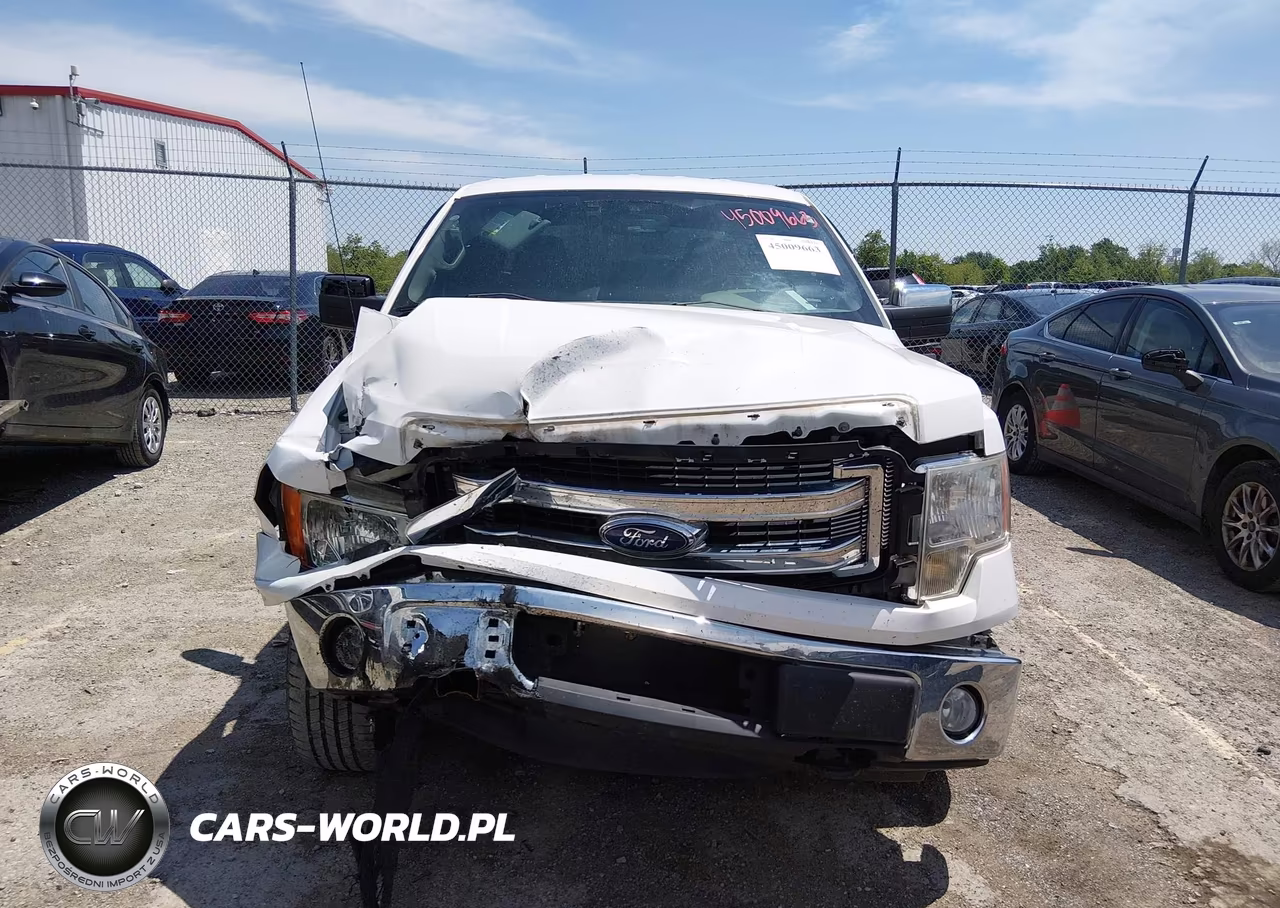 2013 Ford F-150 Xlt VIN:1FTFW1EF2DKF80924 - 12