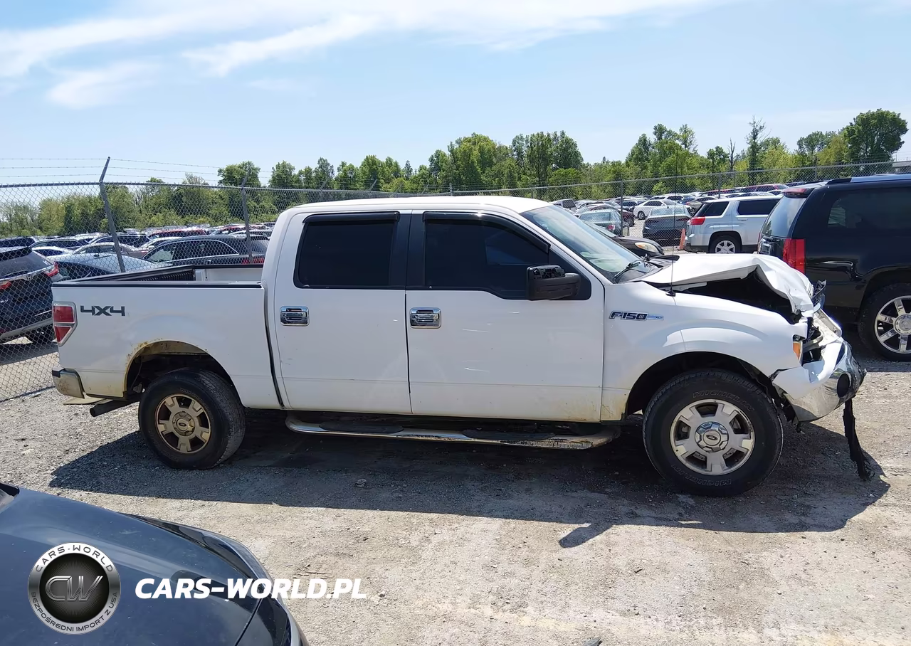 2013 Ford F-150 Xlt VIN:1FTFW1EF2DKF80924 - 13