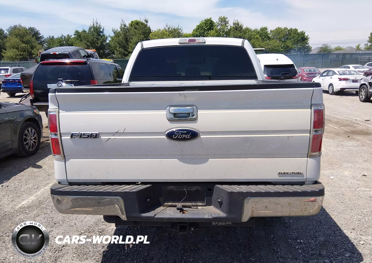 2013 Ford F-150 Xlt VIN:1FTFW1EF2DKF80924 - 16