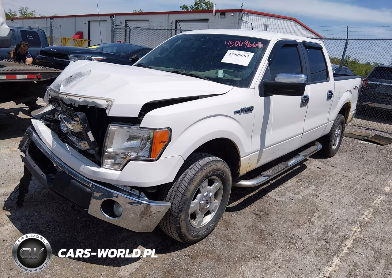 2013 Ford F-150 Xlt VIN:1FTFW1EF2DKF80924 - 2