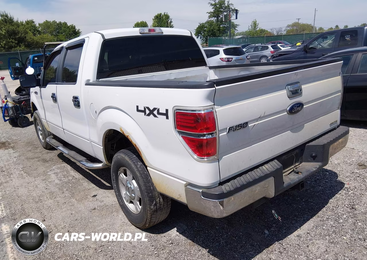 2013 Ford F-150 Xlt VIN:1FTFW1EF2DKF80924 - 3