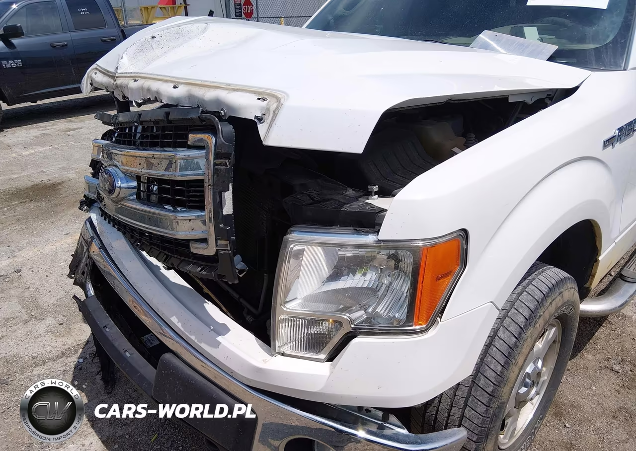 2013 Ford F-150 Xlt VIN:1FTFW1EF2DKF80924 - 6