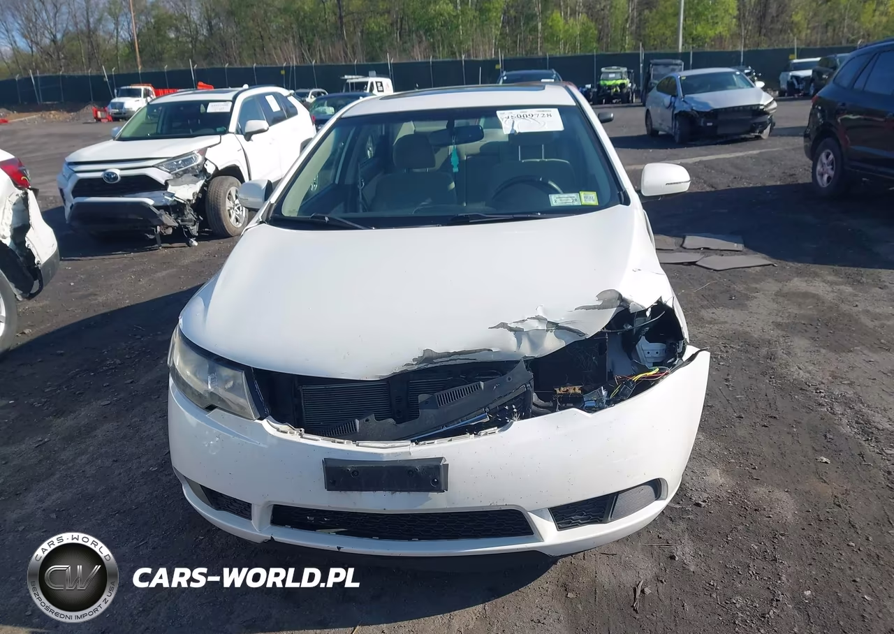 2013 Kia Forte Ex VIN:KNAFU4A23D5669701 - 12