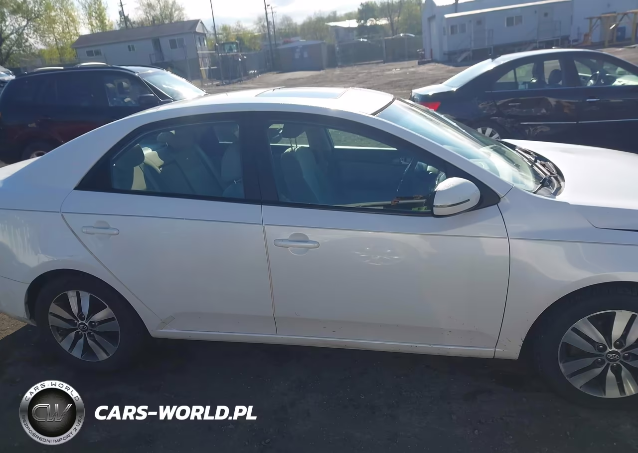 2013 Kia Forte Ex VIN:KNAFU4A23D5669701 - 13