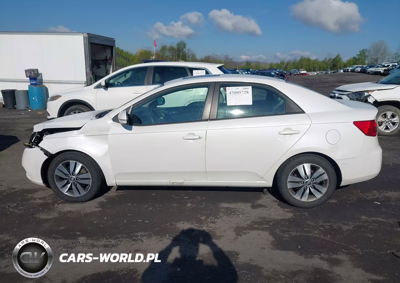 2013 Kia Forte Ex VIN:KNAFU4A23D5669701 - 14