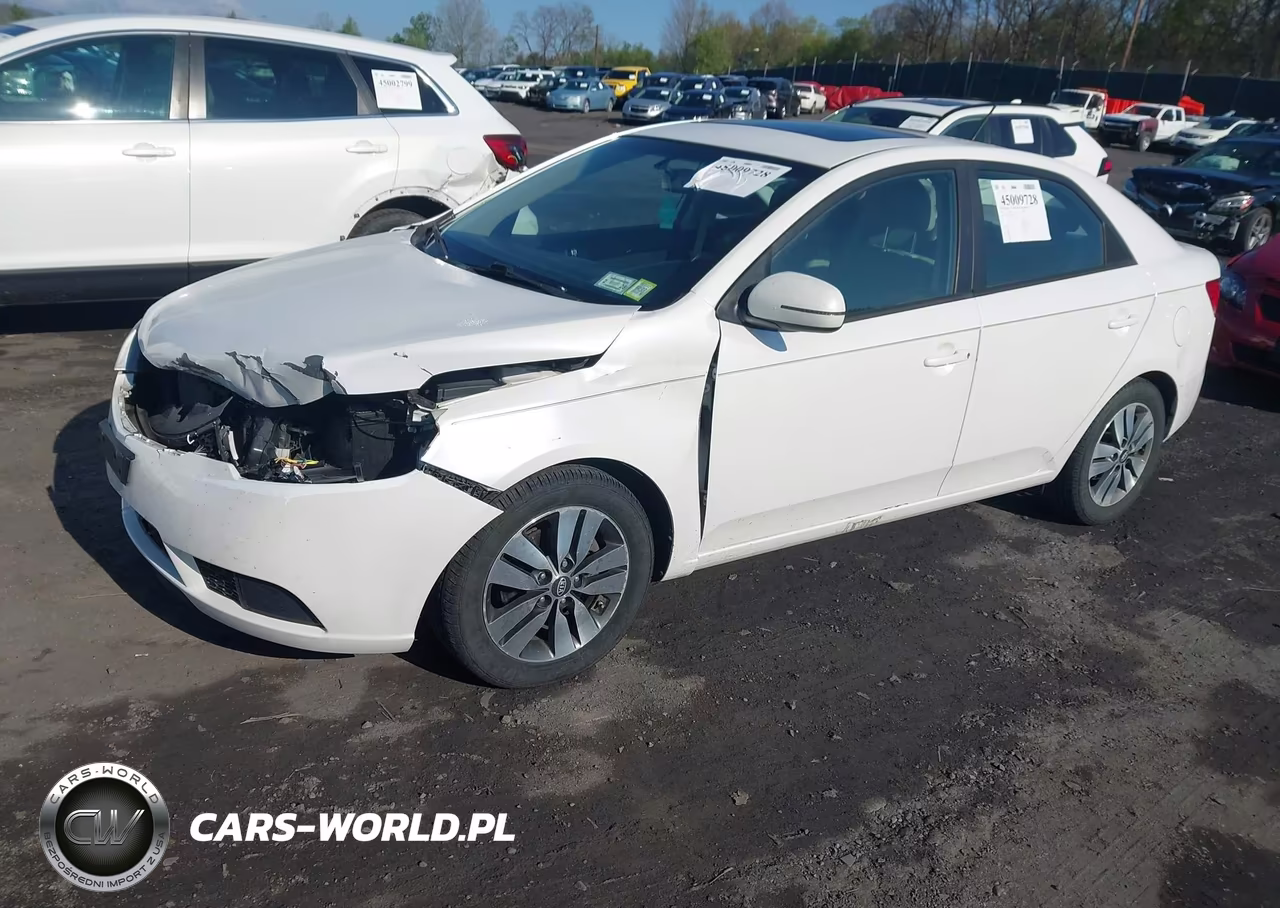 2013 Kia Forte Ex VIN:KNAFU4A23D5669701 - 2