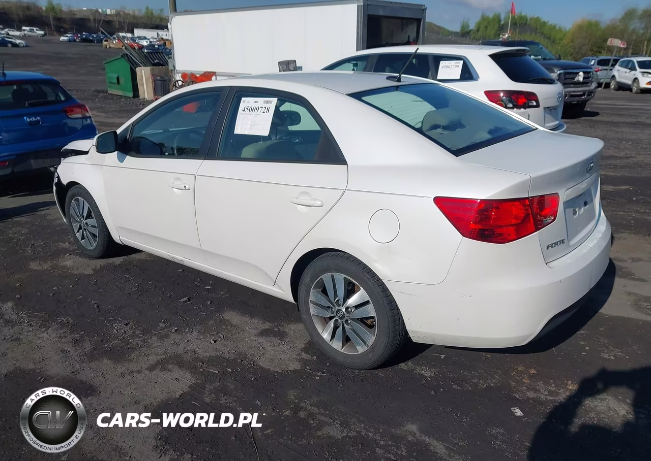 2013 Kia Forte Ex VIN:KNAFU4A23D5669701 - 3