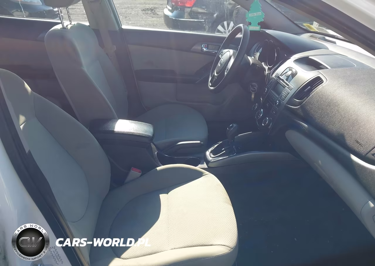 2013 Kia Forte Ex VIN:KNAFU4A23D5669701 - 5