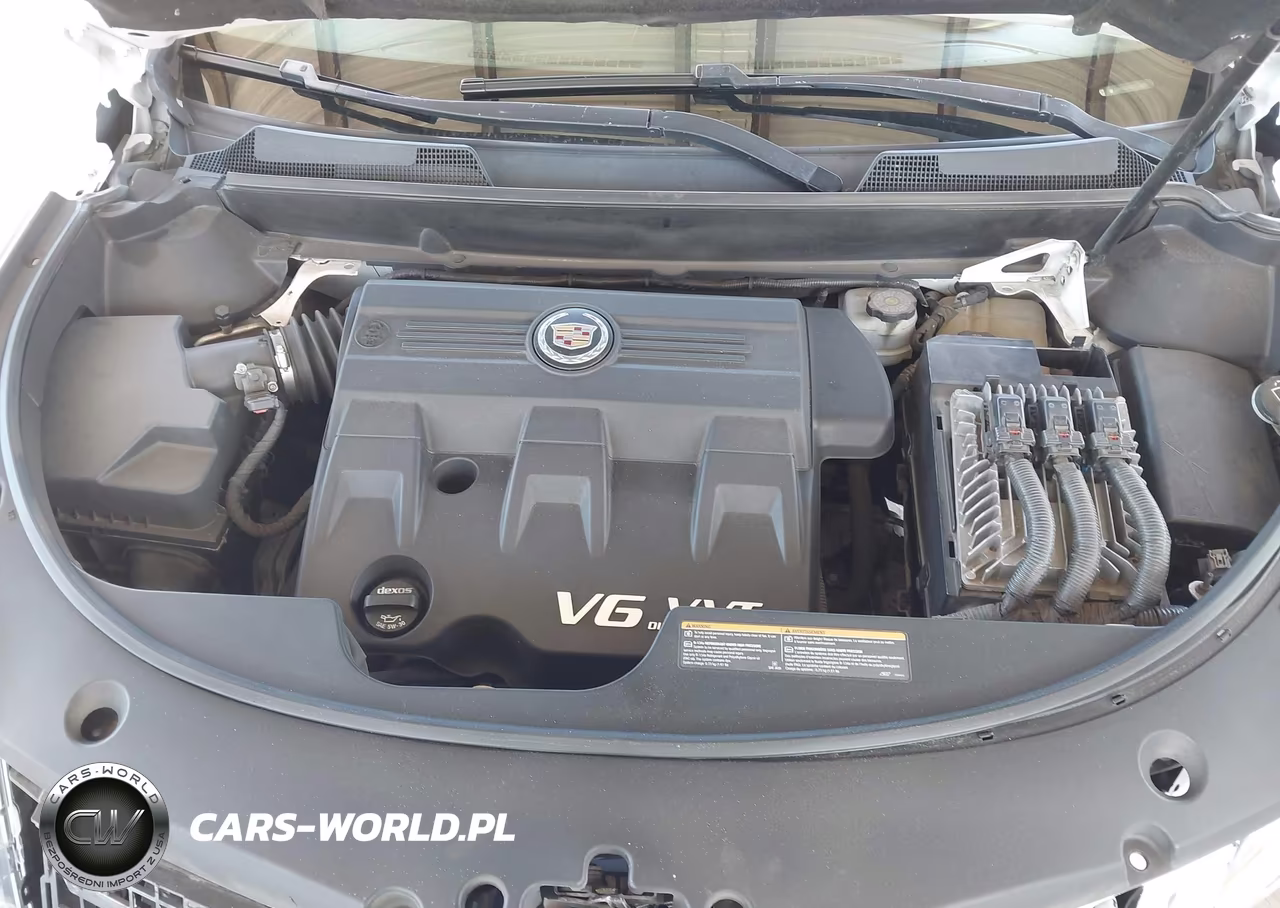 2013 Cadillac Srx Performance Collection VIN:3GYFNDE3XDS613628 - 10