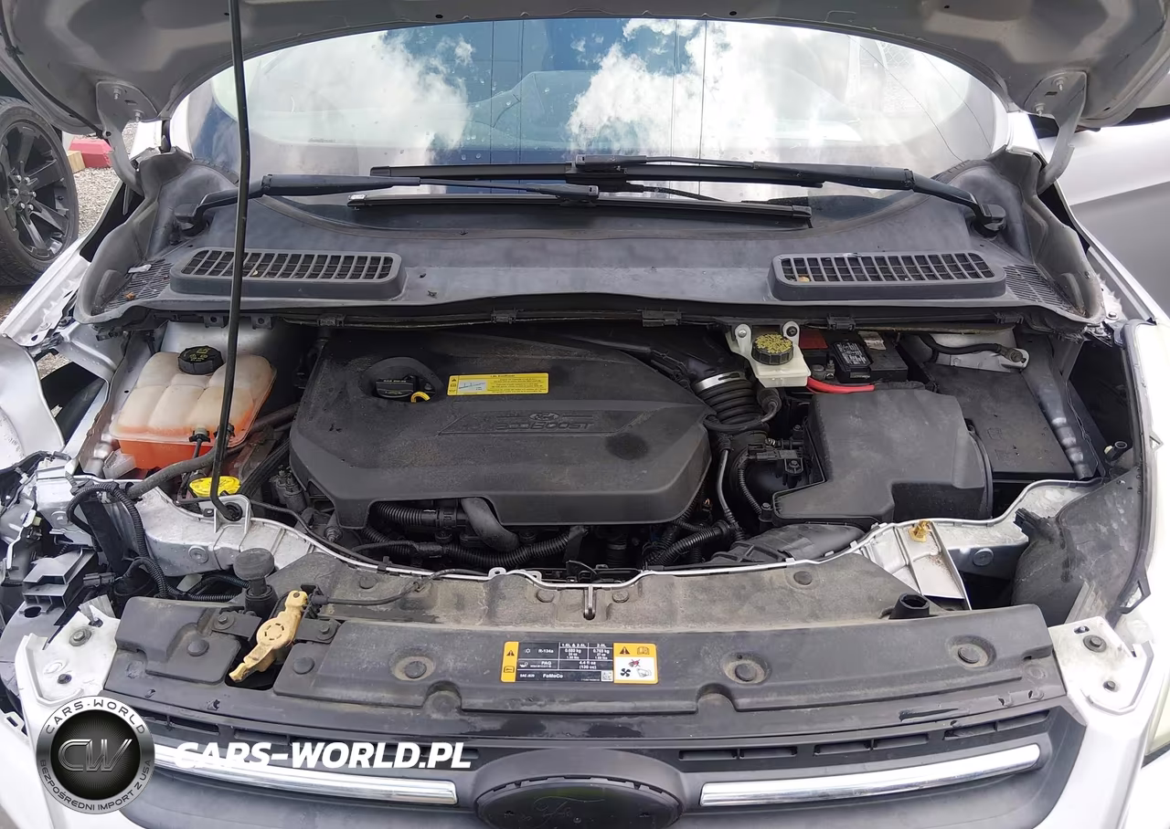 2013 Ford Escape Se VIN:1FMCU0GX1DUB50990 - 10