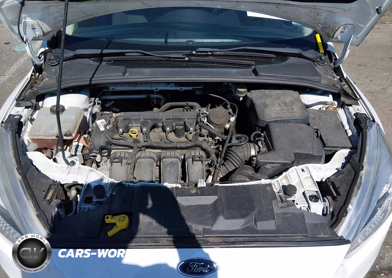2016 Ford Focus S VIN:1FADP3E22GL206847 - 10