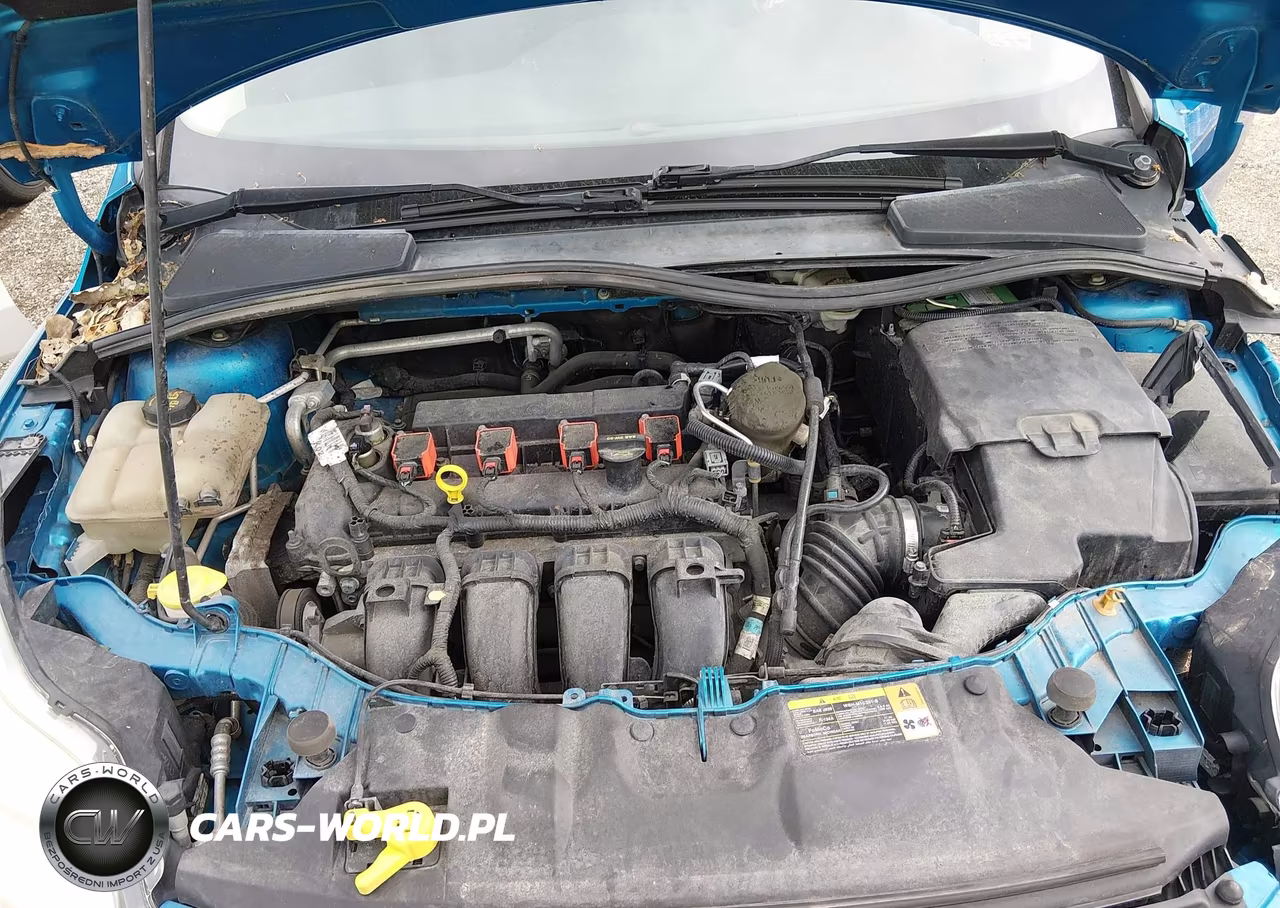 2014 Ford Focus Se VIN:1FADP3K27EL184099 - 10