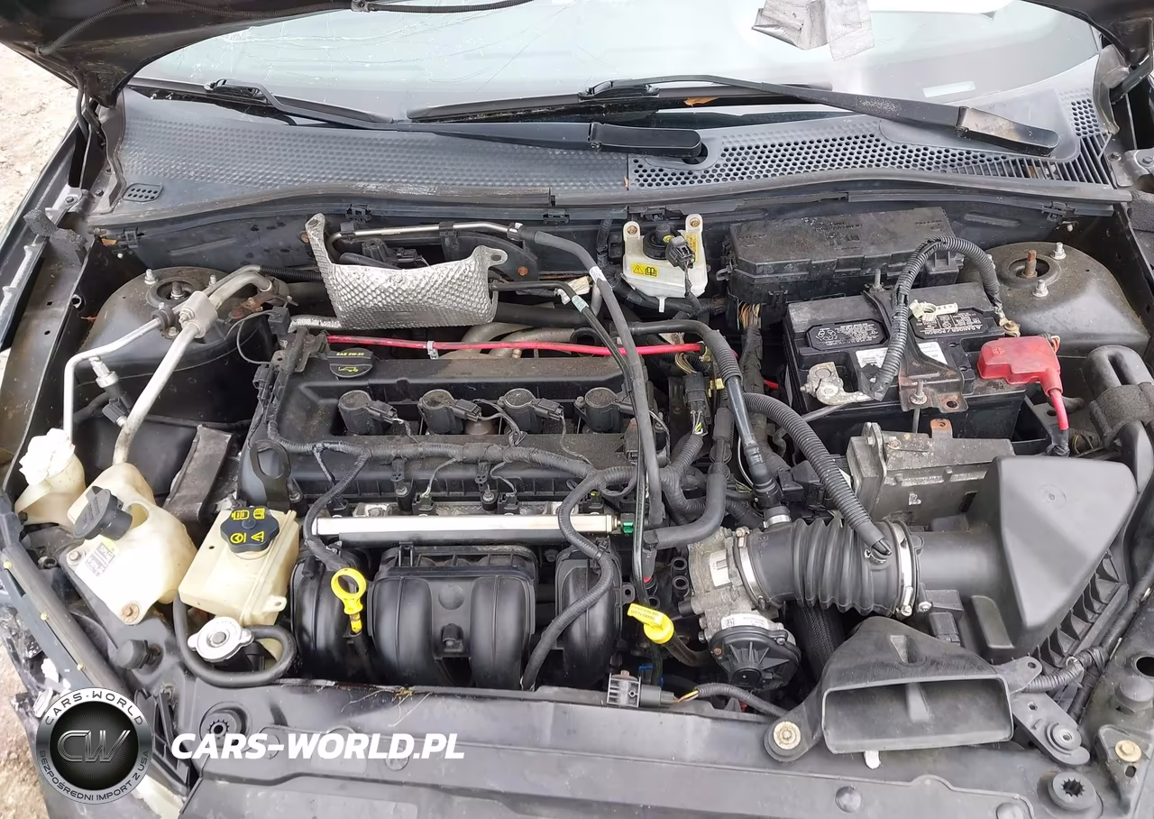 2009 Ford Focus Ses VIN:1FAHP36N49W151071 - 10