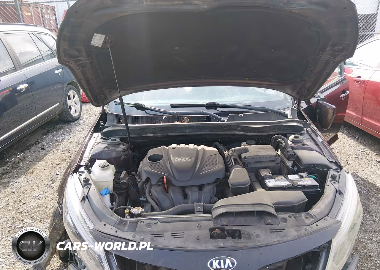 2014 Kia Optima Lx VIN:5XXGM4A76EG295262 - 10