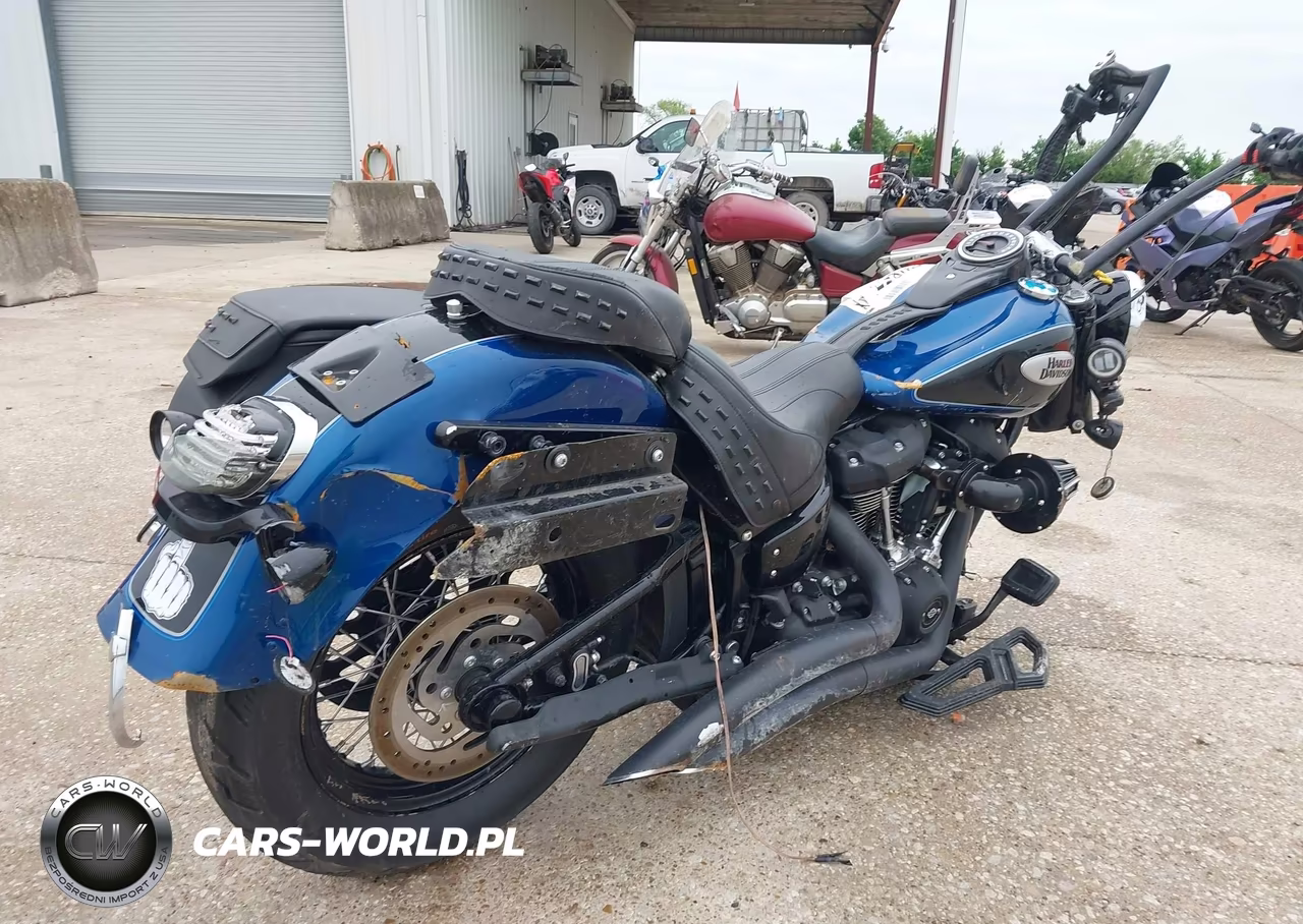 2023 Harley-Davidson Flhcs VIN:1HD1YBK14PB032042 - 4