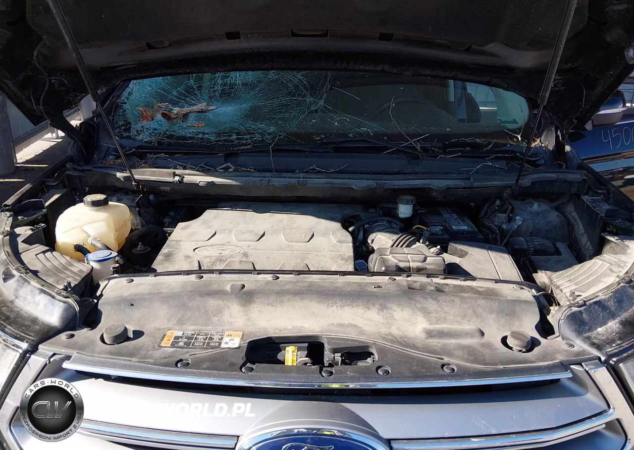 2016 Ford Edge Titanium VIN:2FMPK4K80GBB10442 - 10