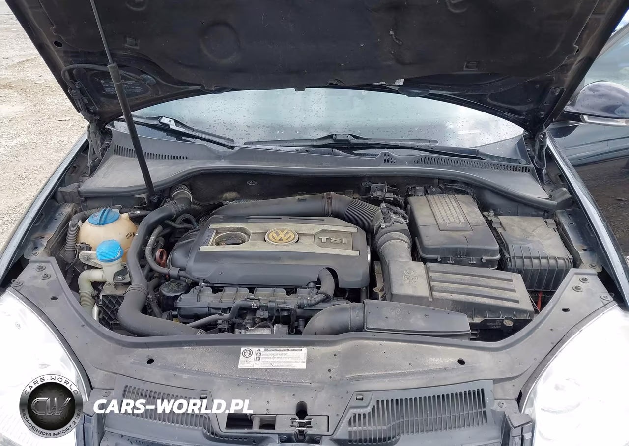 2010 Volkswagen Jetta Wolfsburg Edition VIN:3VWRJ7AJ3AM152533 - 10