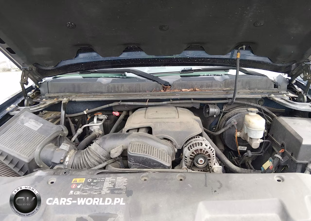 2010 Chevrolet Silverado 1500 Lt VIN:3GCRCSEA2AG264068 - 10