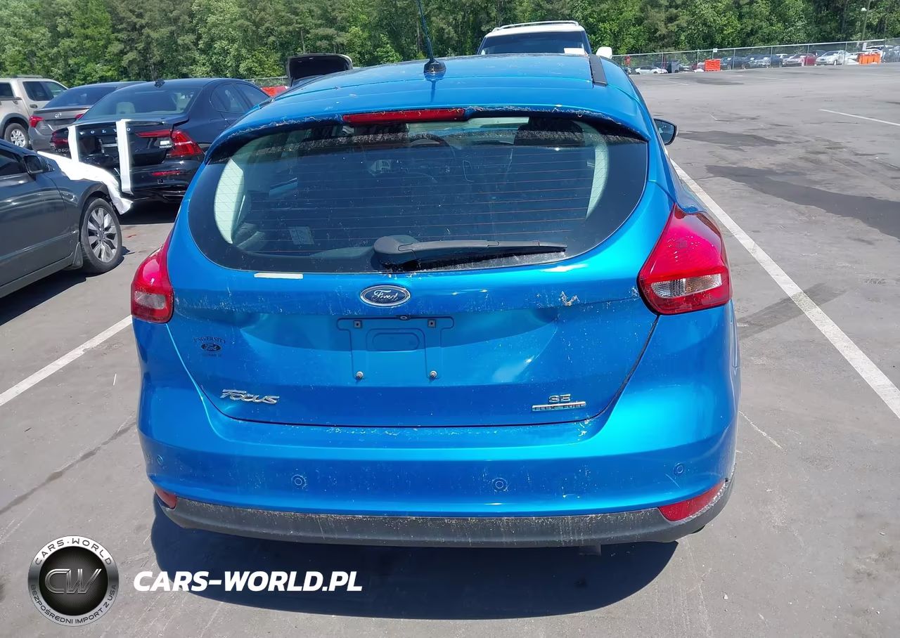 2016 Ford Focus Se VIN:1FADP3K20GL393428 - 16