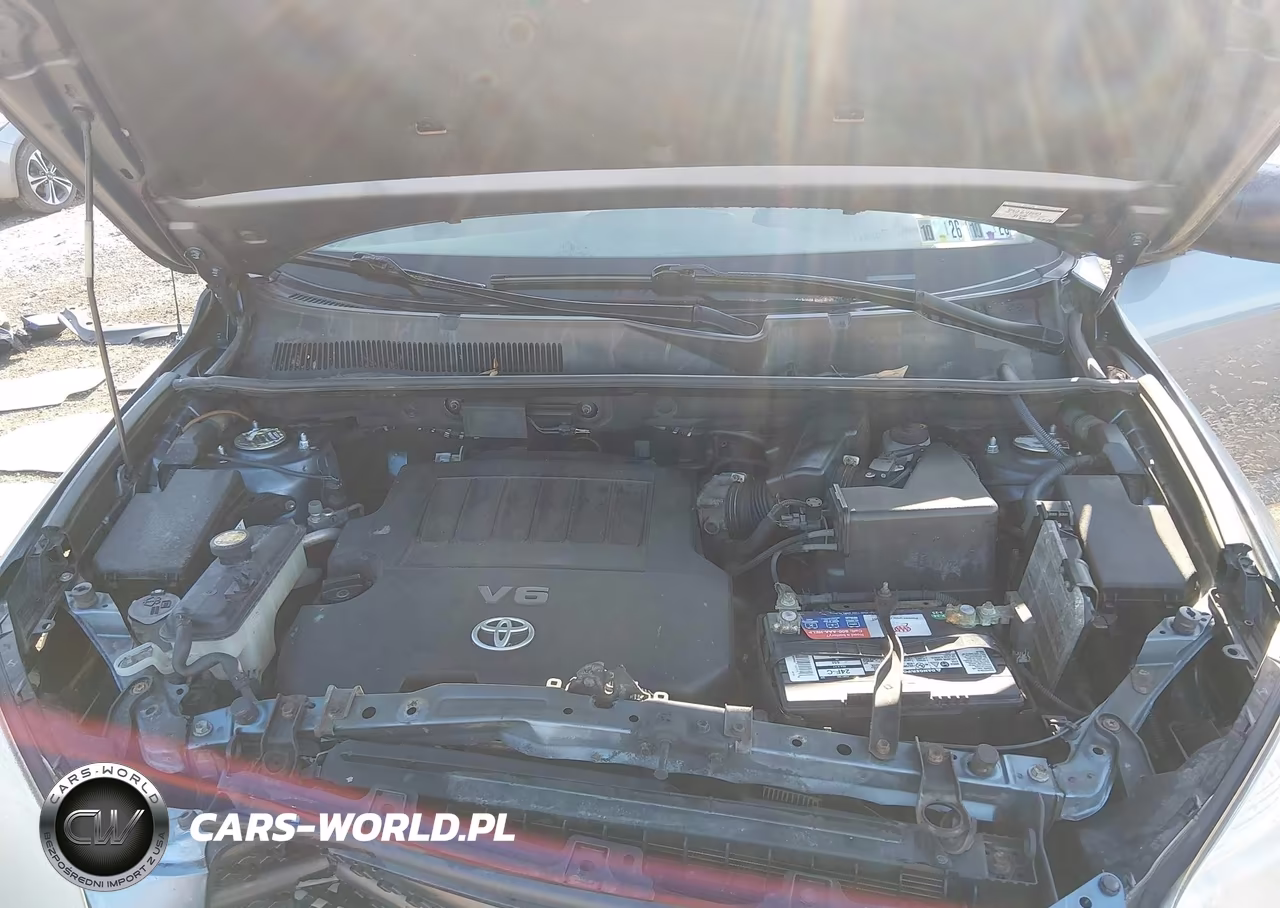 2006 Toyota Rav4 Base V6 VIN:JTMBK33V266007856 - 10