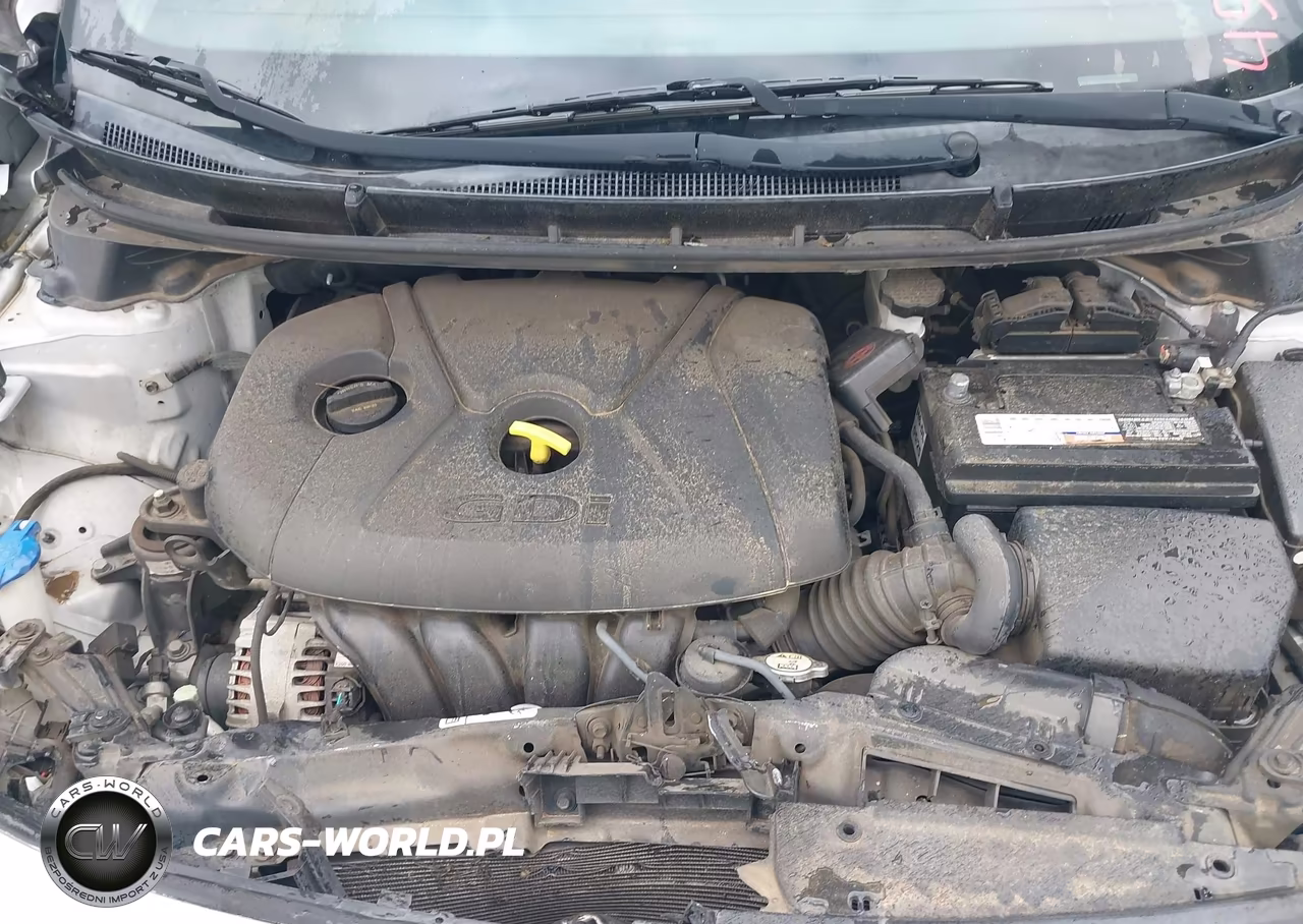 2016 Hyundai Elantra Gt VIN:KMHD35LH3GU305045 - 10