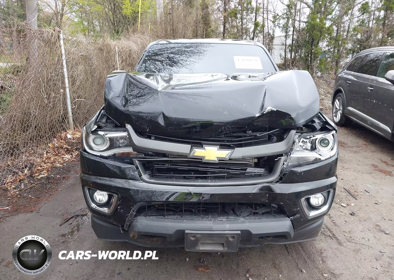 2016 Chevrolet Colorado Z71 VIN:1GCGTDE31G1376078 - 12