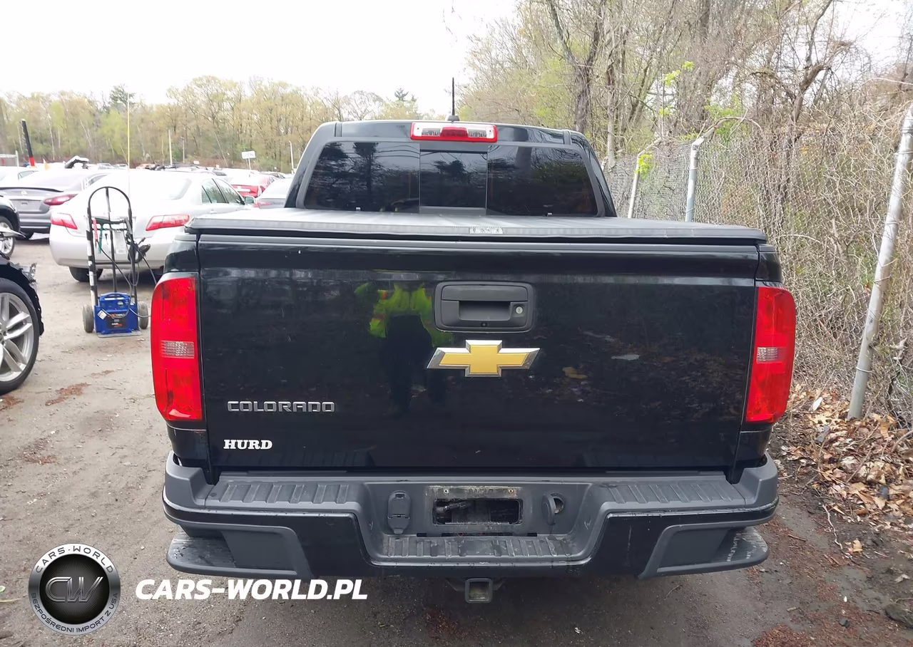 2016 Chevrolet Colorado Z71 VIN:1GCGTDE31G1376078 - 16