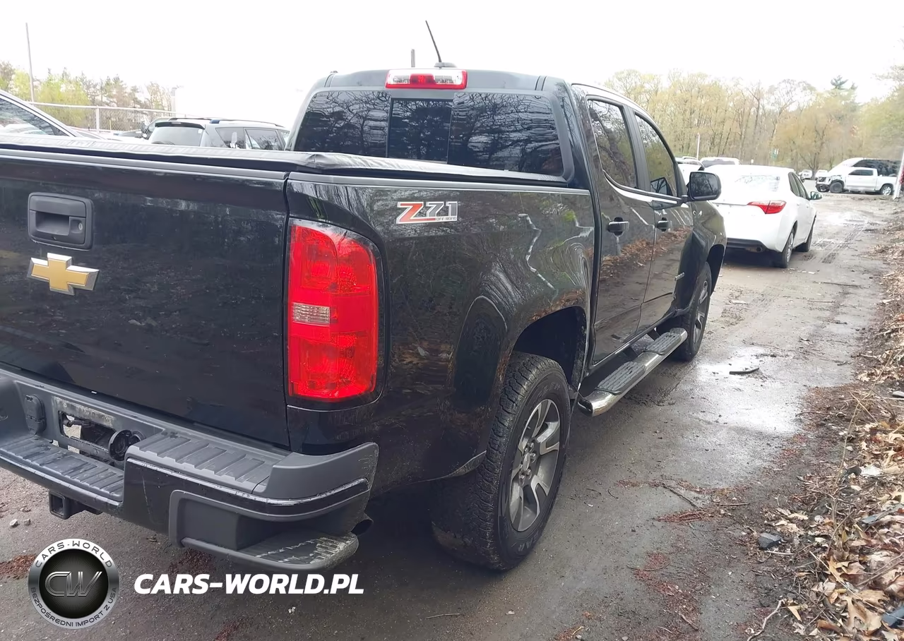 2016 Chevrolet Colorado Z71 VIN:1GCGTDE31G1376078 - 4