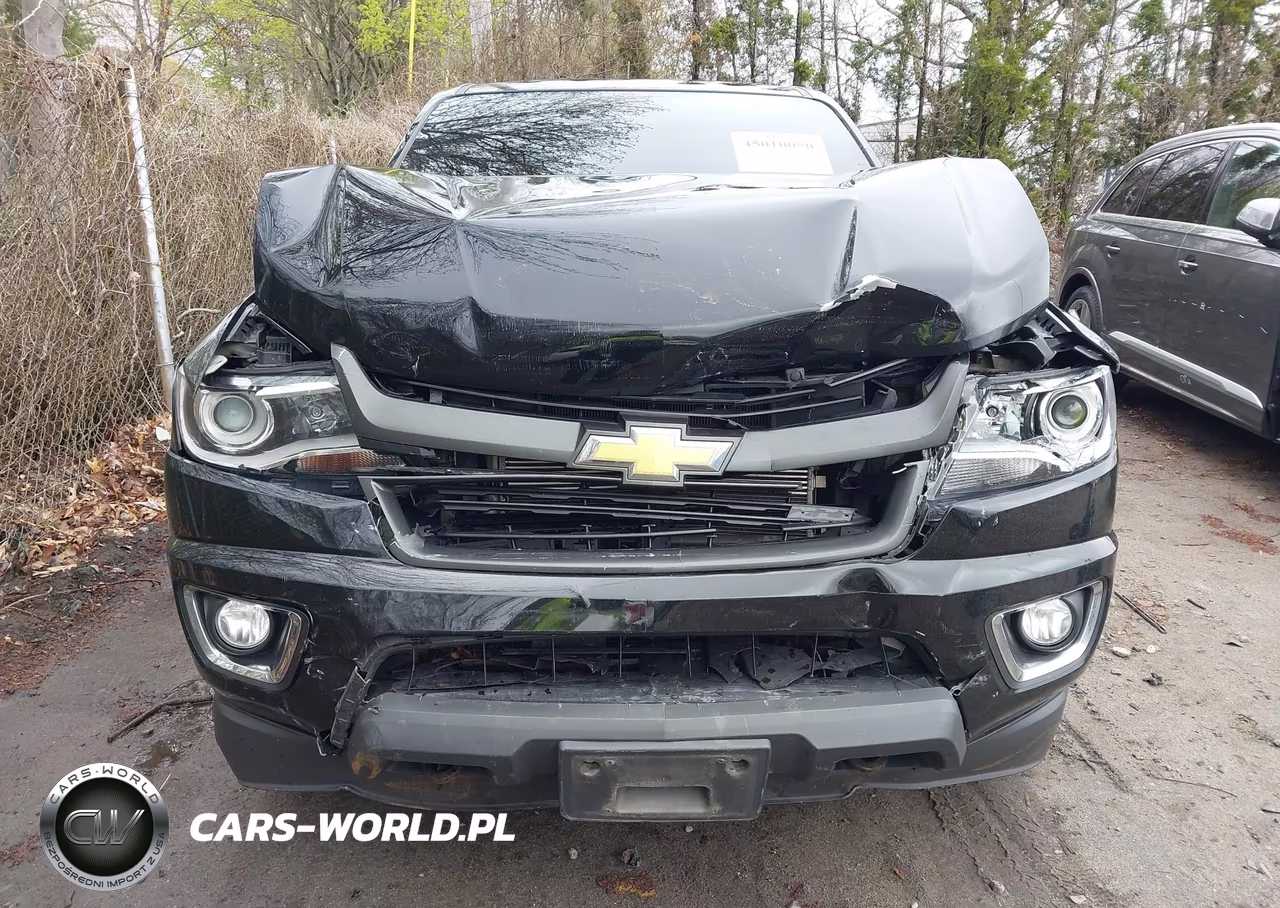 2016 Chevrolet Colorado Z71 VIN:1GCGTDE31G1376078 - 6