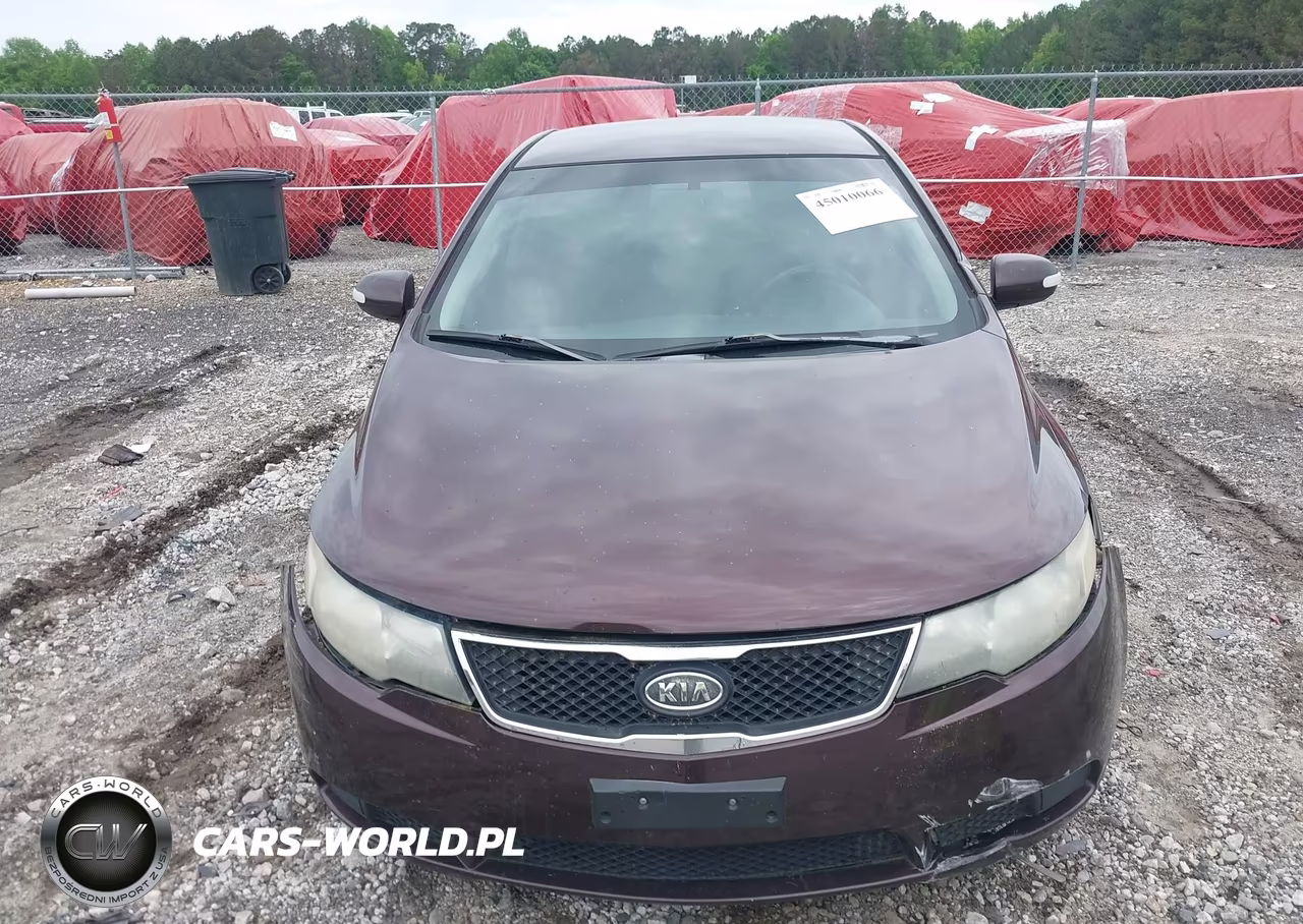 2010 Kia Forte Ex VIN:KNAFU4A21A5062501 - 12