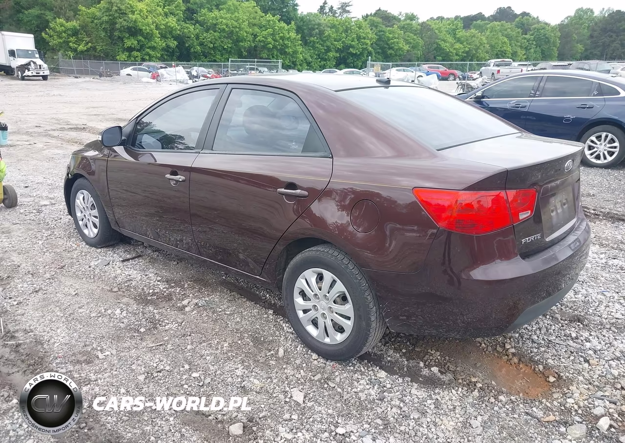 2010 Kia Forte Ex VIN:KNAFU4A21A5062501 - 3