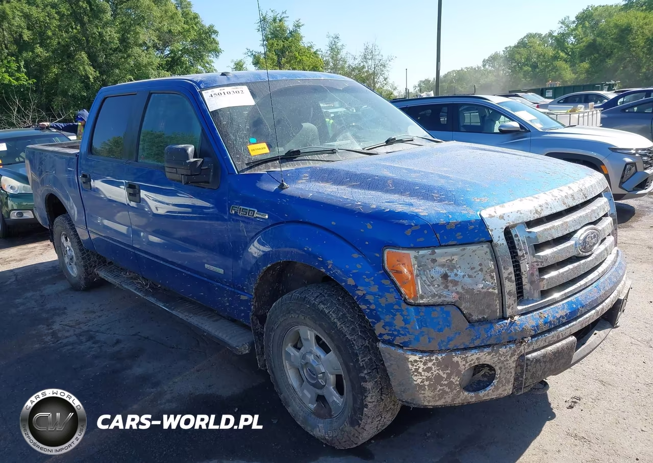2011 Ford F-150 Xlt