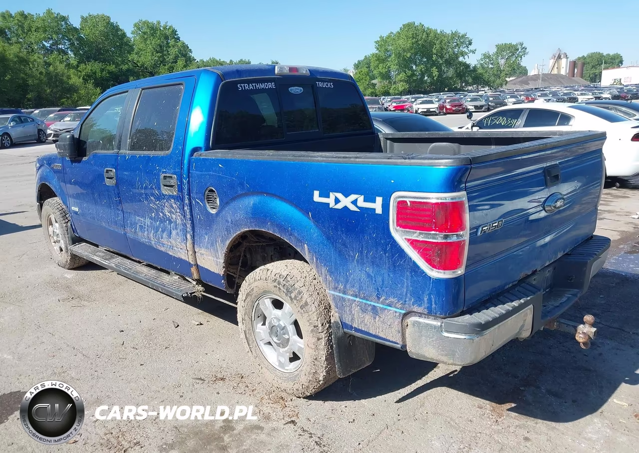 2011 Ford F-150 Xlt VIN:1FTFW1ET6BFC14962 - 3