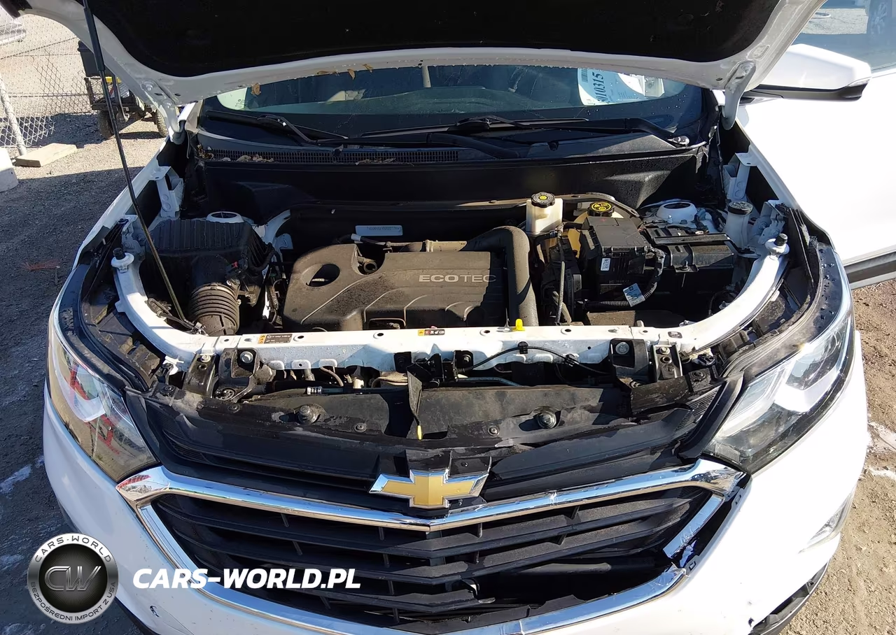 2018 Chevrolet Equinox Lt VIN:2GNAXSEV3J6227795 - 10