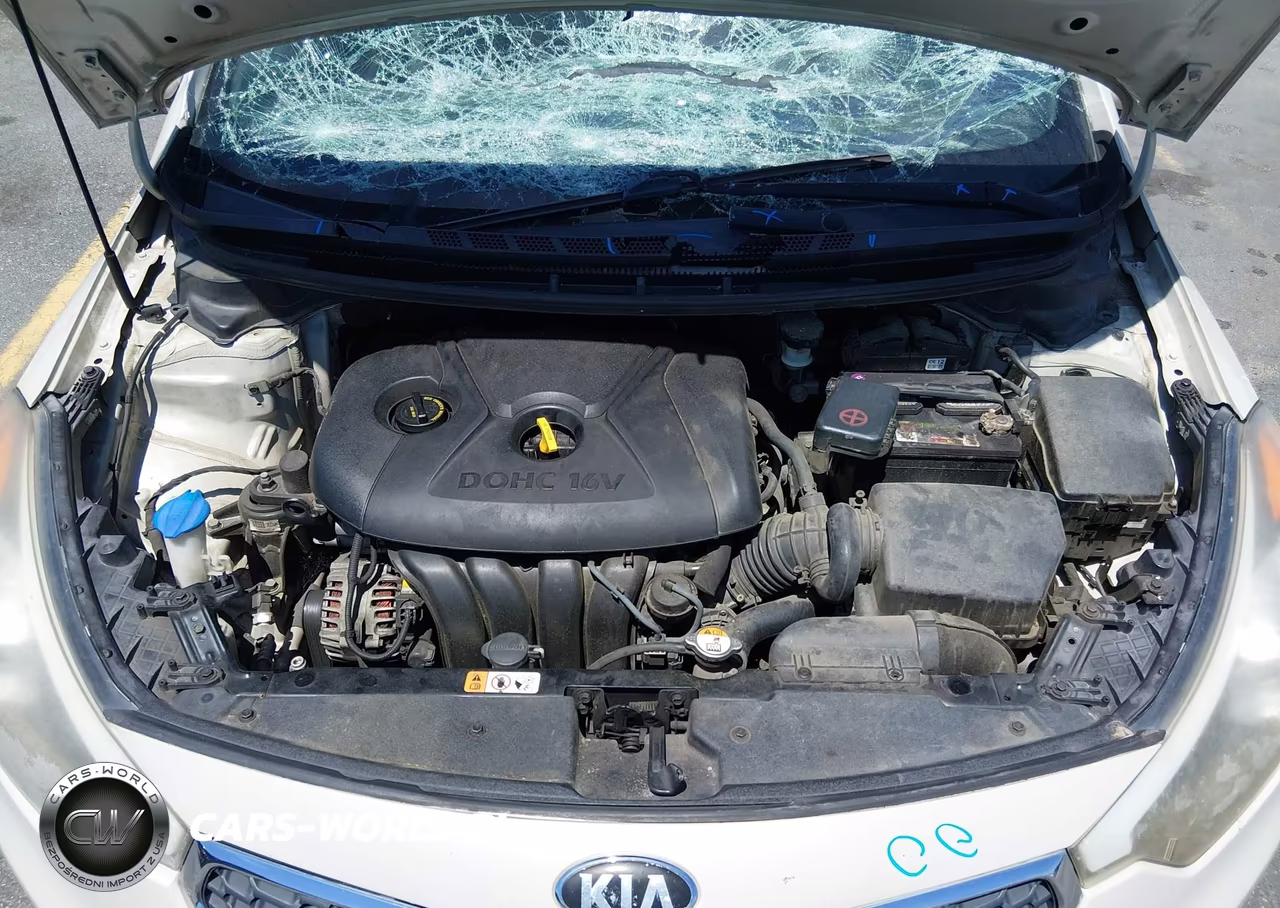 2015 Kia Forte Lx VIN:KNAFK4A65F5368018 - 10