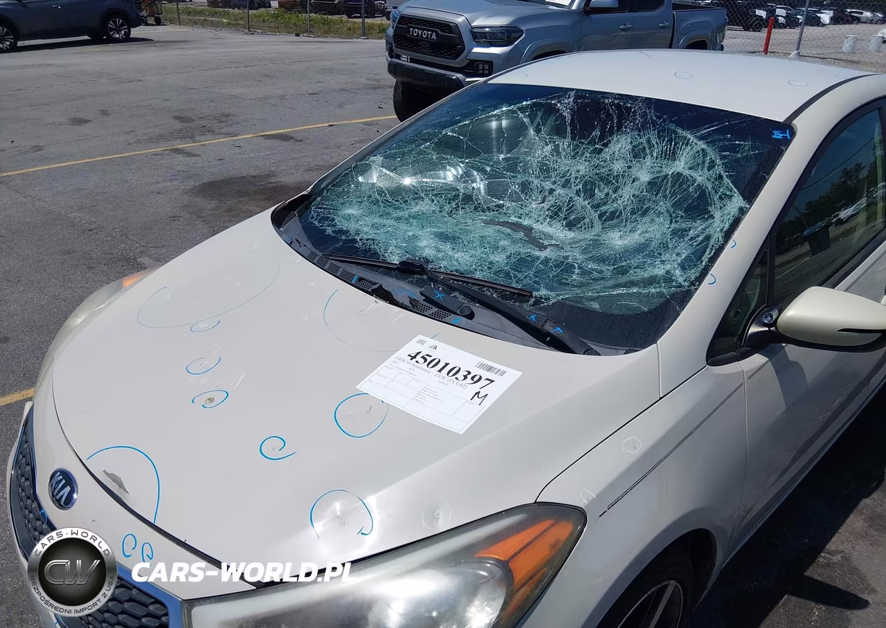 2015 Kia Forte Lx VIN:KNAFK4A65F5368018 - 6