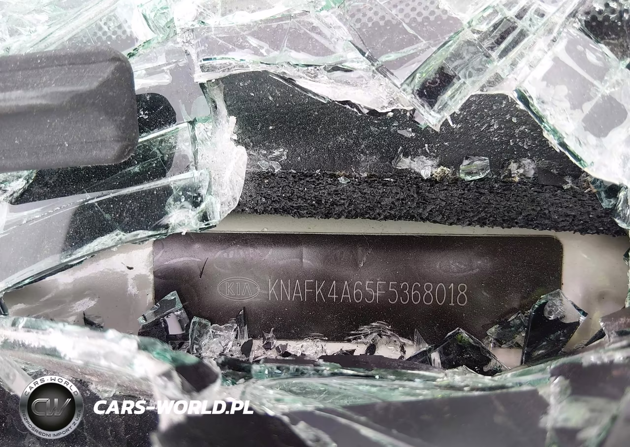2015 Kia Forte Lx VIN:KNAFK4A65F5368018 - 9