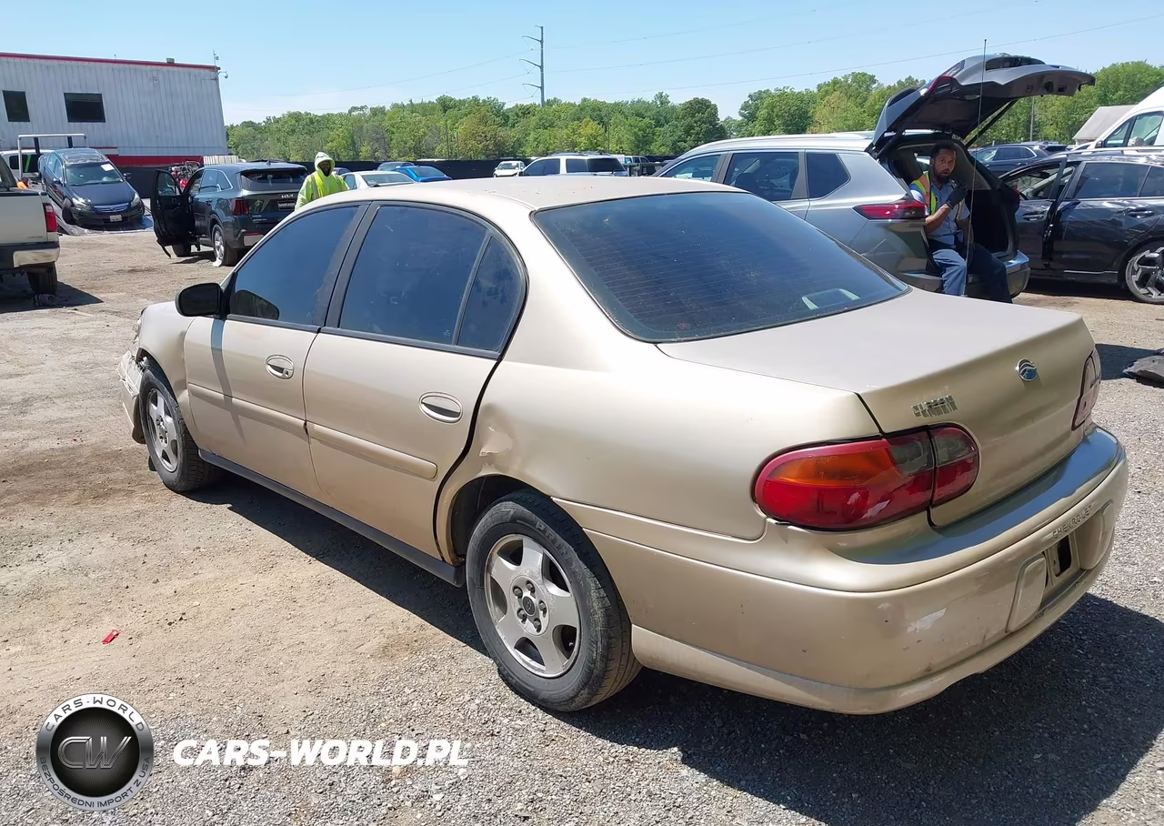 2004 Chevrolet Classic VIN:1G1ND52F74M669348 - 3