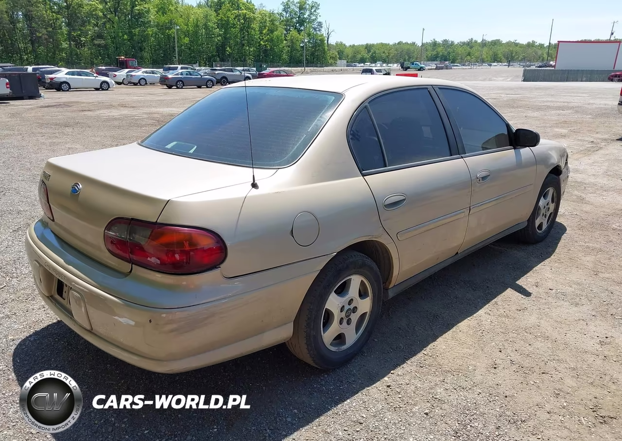 2004 Chevrolet Classic VIN:1G1ND52F74M669348 - 4