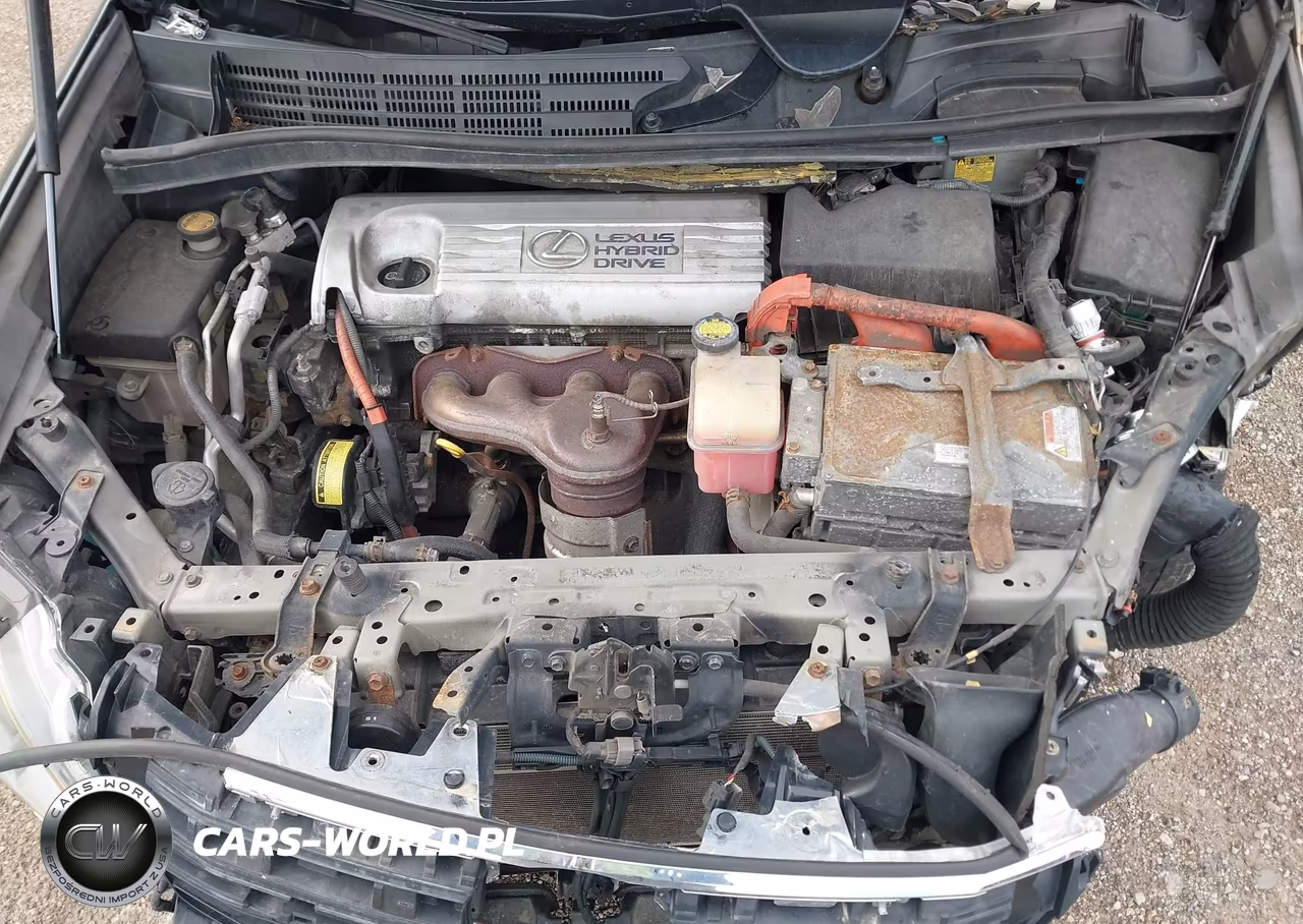 2010 Lexus Hs 250H Premium VIN:JTHBB1BA7A2025593 - 10