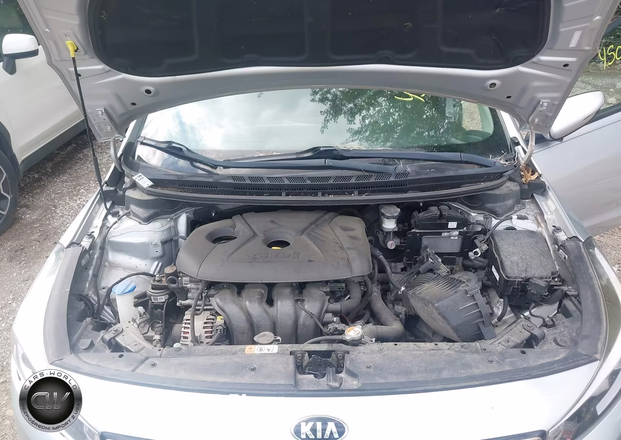 2017 Kia Forte Lx VIN:KNAFK5A81H5698491 - 10