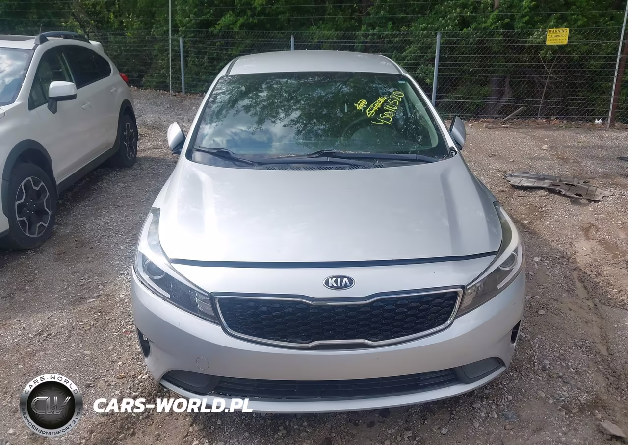 2017 Kia Forte Lx VIN:KNAFK5A81H5698491 - 11